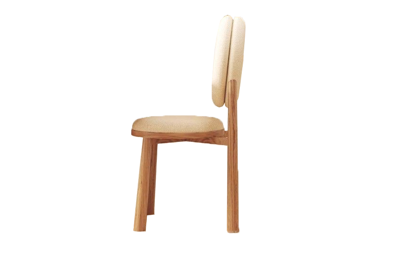 Lounge dining chair3