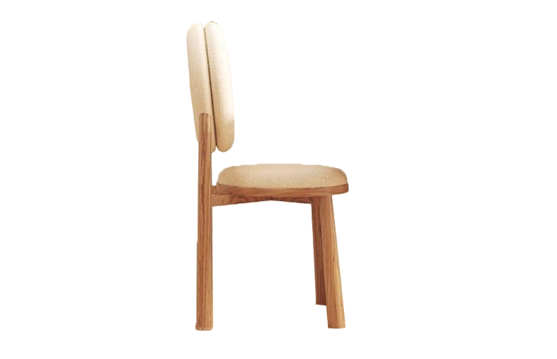 Lounge dining chair4